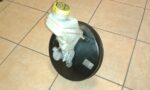 FIAT GRANDE PUNTO POSILOVAC+VALEC 0204051110  55700420